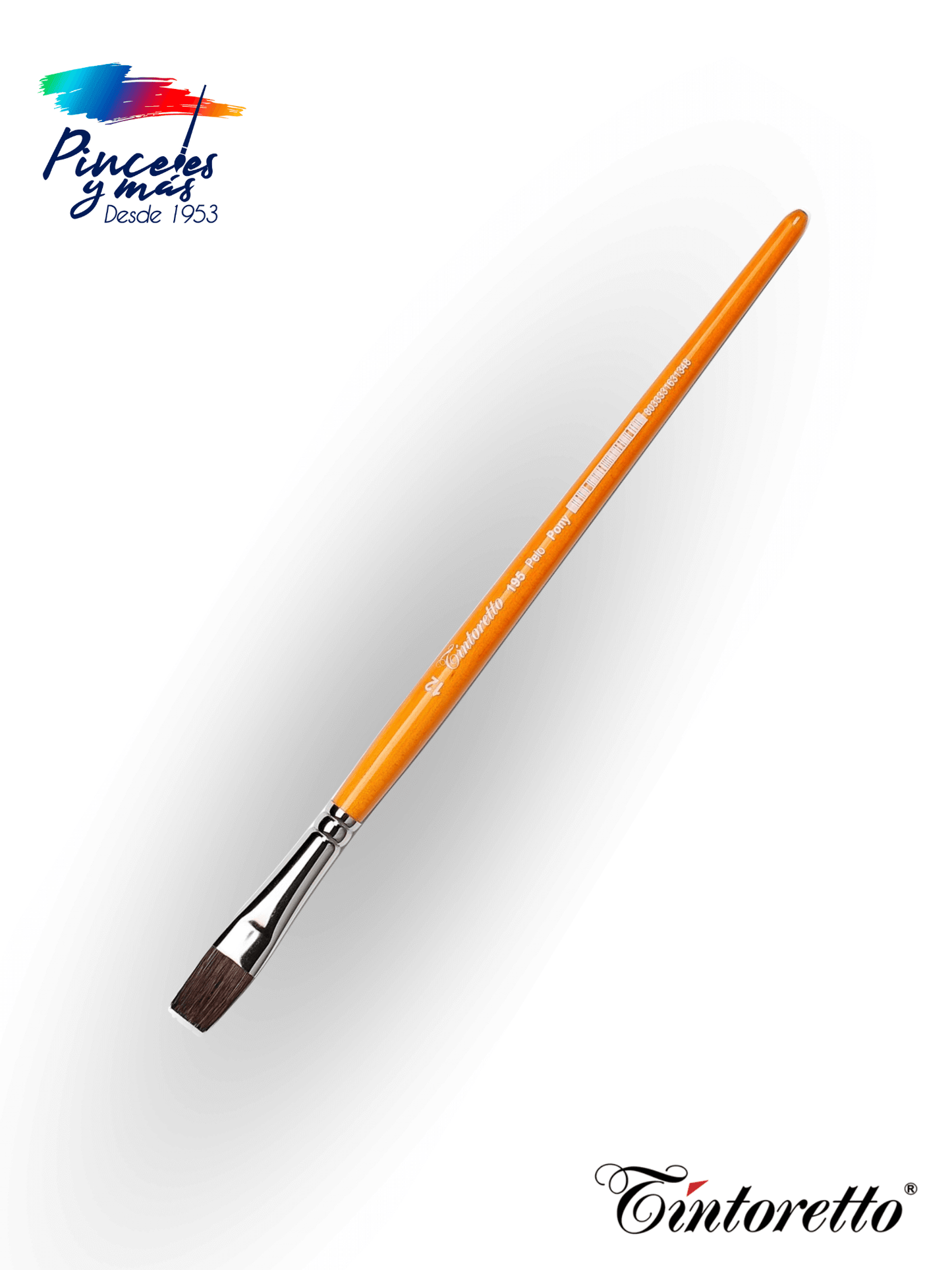 PINC TINTORETTO S195 #12 MC PLA PONY