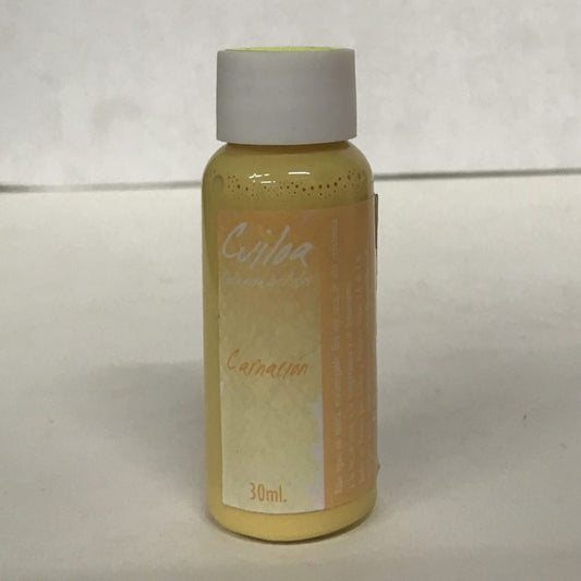 TINTA CHINA CUILOA 30ML CAR