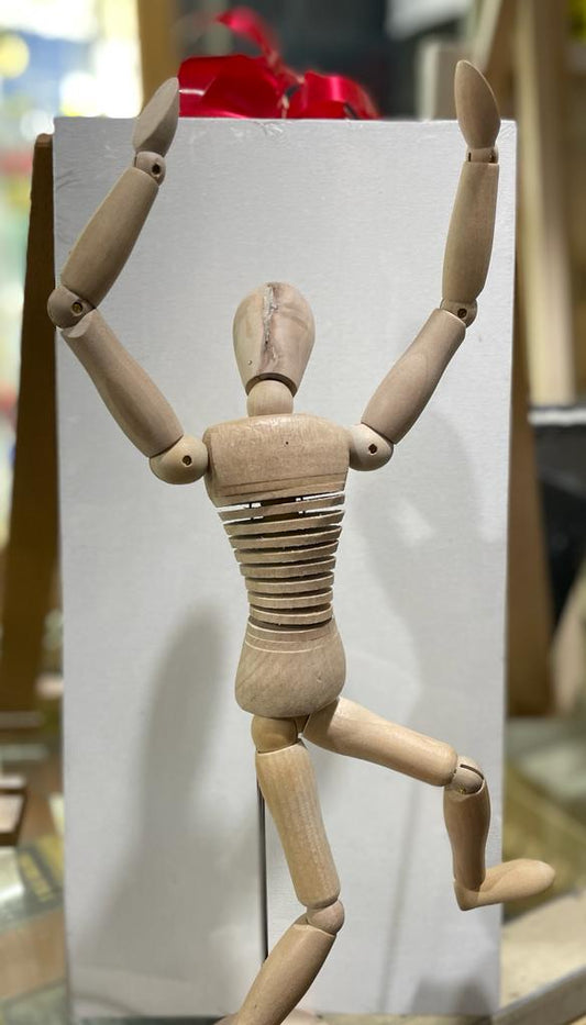 ManiquÃ­ torso hombre 30 cm.