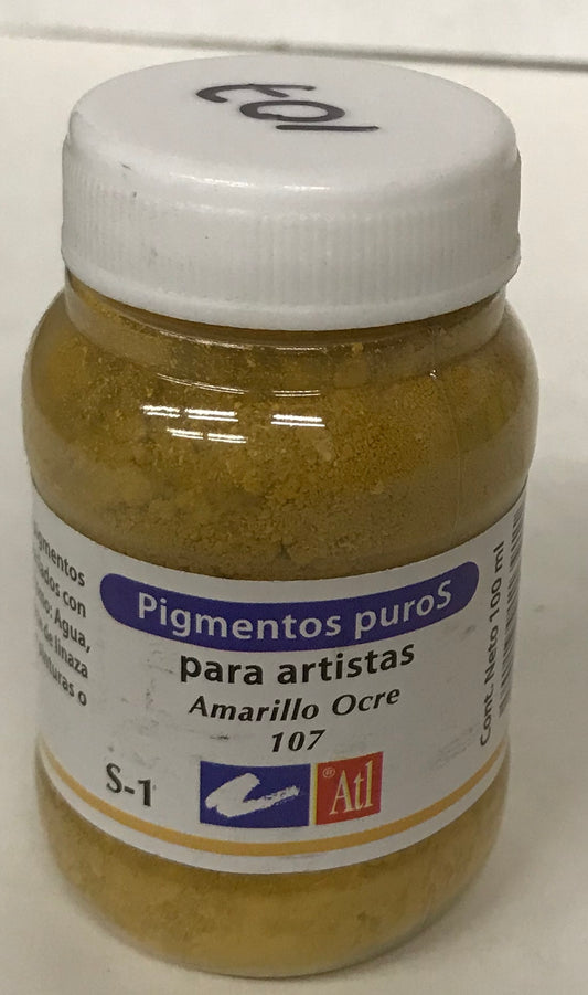 PIGMENTO RODIN S1 #107 100ML AMA OCR FCO